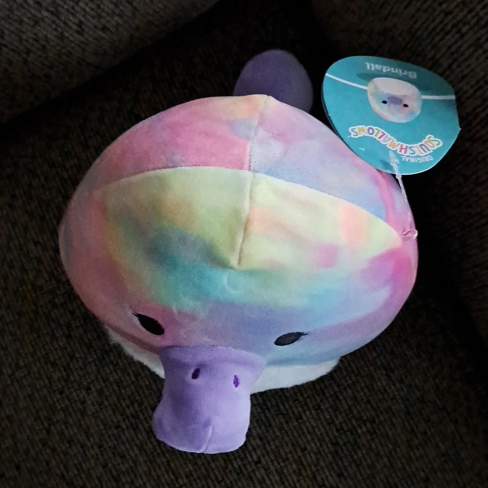 Squishmallows 7